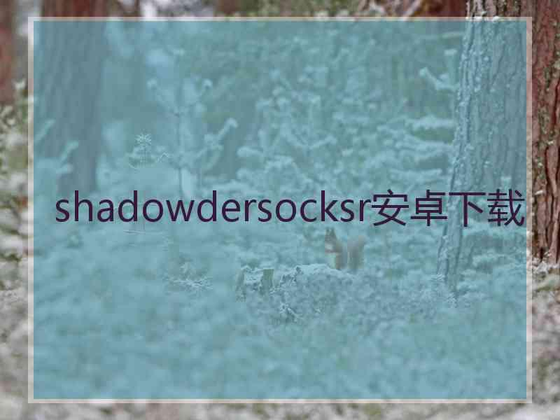 shadowdersocksr安卓下载