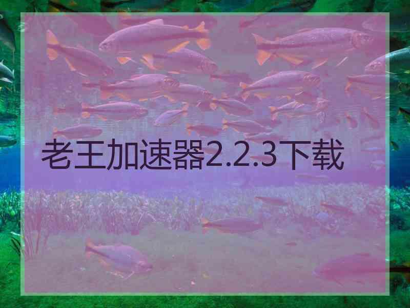 老王加速器2.2.3下载