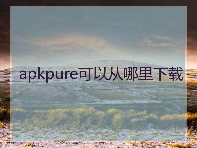 apkpure可以从哪里下载